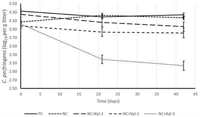 The Effect of a Modified GH11 Xylanase on Live Performance, Gut Health, and Clostridium perfringens Excretion of Broilers Fed Corn-Soy Diets